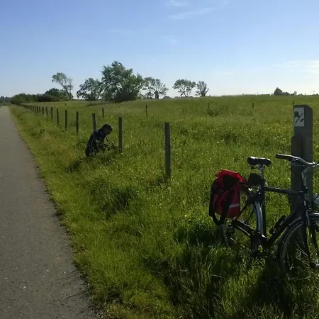 Valdemosa One * De Haan