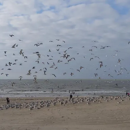 Apartment Valdemosa One