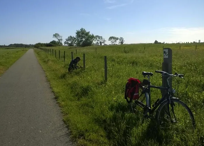 Valdemosa One * De Haan