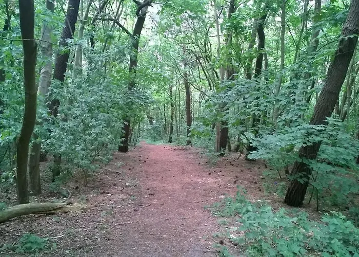 Valdemosa One Lägenhet *