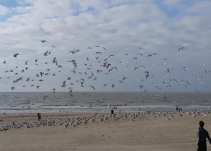 Lägenhet Valdemosa One